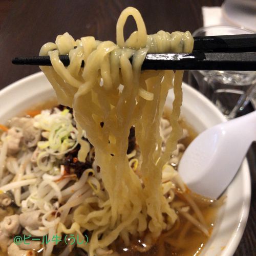 新店 餃子酒場 永順 大宮一番街店 ピリ辛モツラーメン(720円)