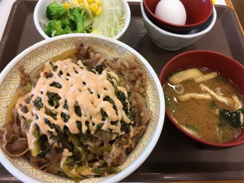 すき家の高菜明太牛丼に卵黄は合うな - コカコーラとラーメンを愛している人のブログ